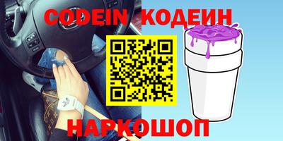 спайс Кингисепп