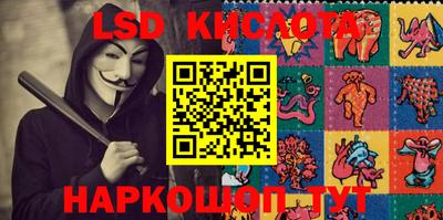 спайс Кингисепп