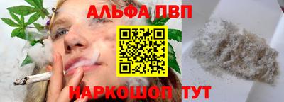 спайс Кингисепп