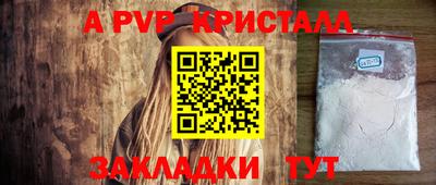 спайс Кингисепп