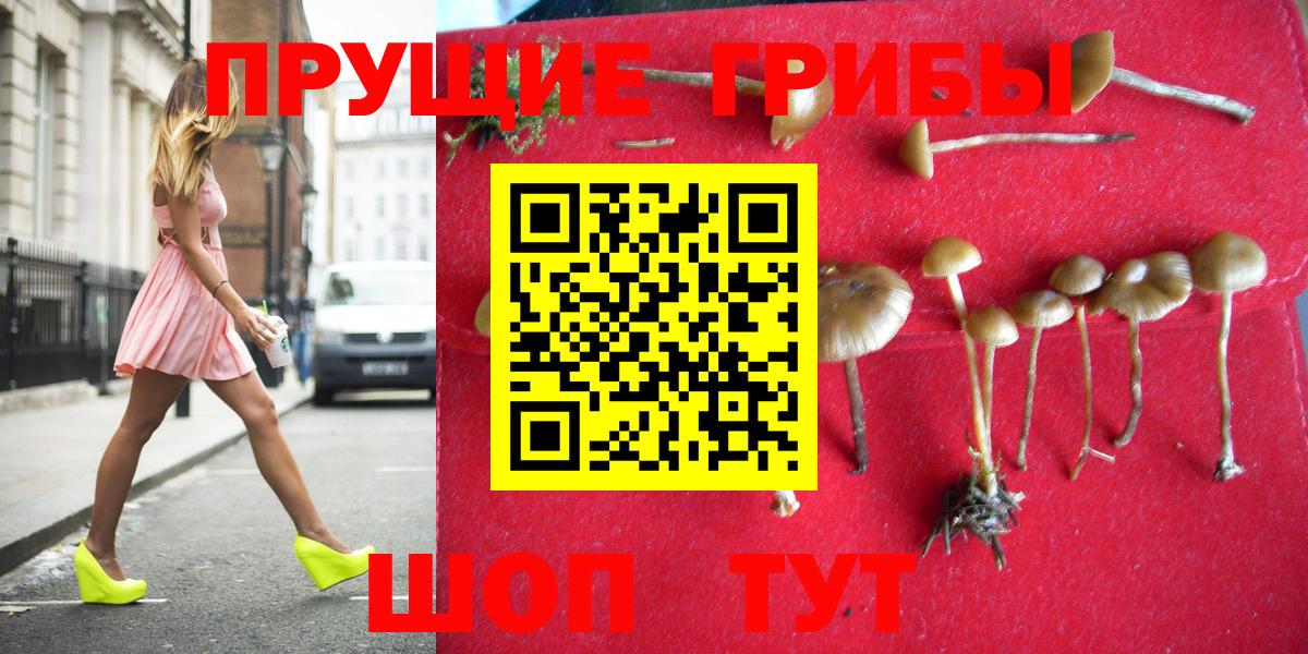 Галлюциногенные грибы Cubensis Шали